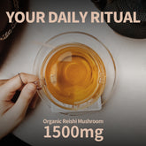GANOHERB Reishi Mushroom Tea (25 Count)